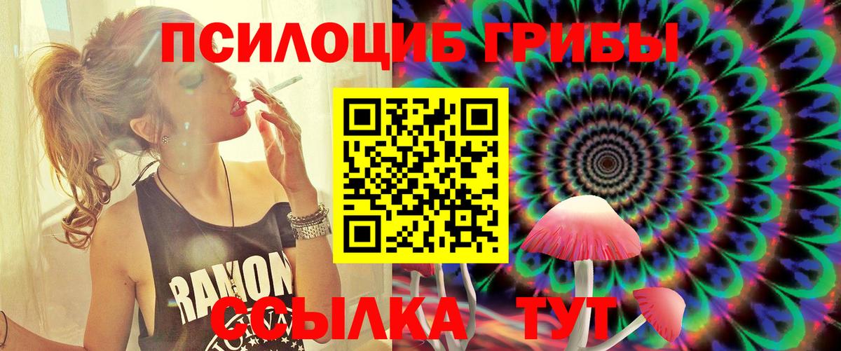Галлюциногенные грибы Cubensis Серов