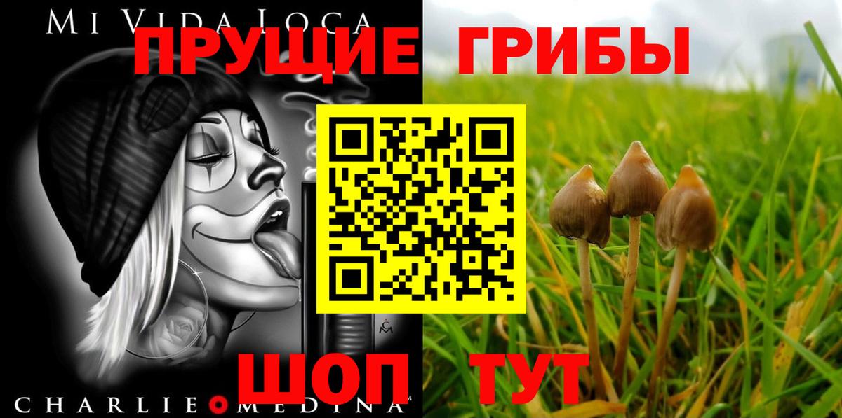 Псилоцибиновые грибы MAGIC MUSHROOMS  Галлюциногенные грибы ЛСД  Вход с VPN  Серов 